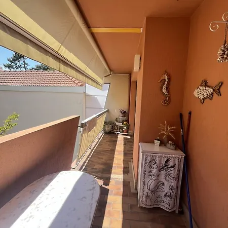 Arcachon: T2 Avec Acces Direct A La Plage, Terrasse Et Parking Prive - Fr-1-474-59 شقة *